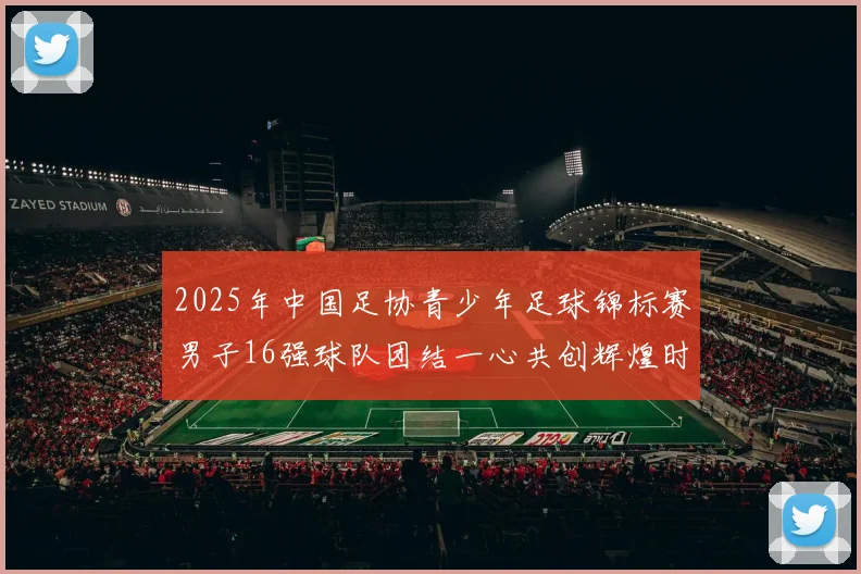 2025年中国足协青少年足球锦标赛男子16强球队团结一心共创辉煌时刻