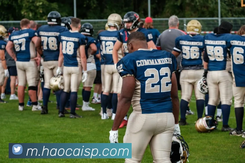 金年会体育APP 高清赛事图