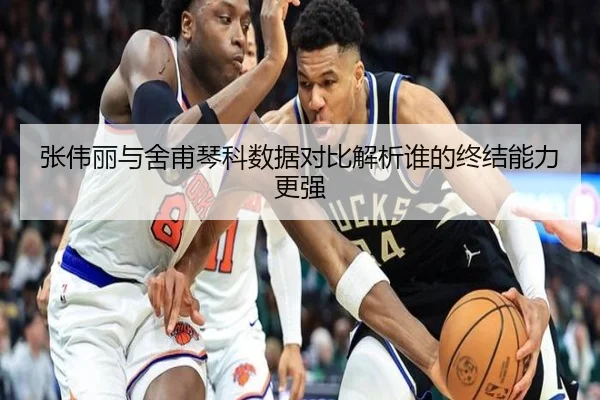 张伟丽与舍甫琴科数据对比解析谁的终结能力更强